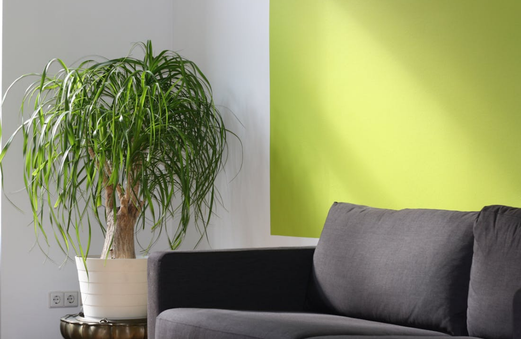 Wohnzimmer-Trends 2024: Was ist jetzt angesagt?